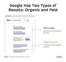 organic search engine rankings