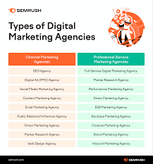 seo and digital marketing agency