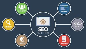 seo service provider