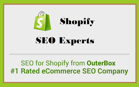 shopify seo expert