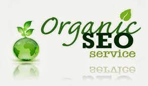 organic seo agency