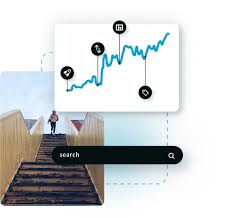 organic search engine optimization specialist