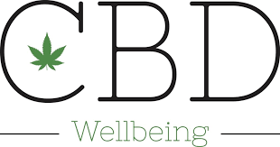 cbd seo agency