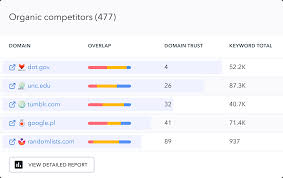 google seo competitive analysis
