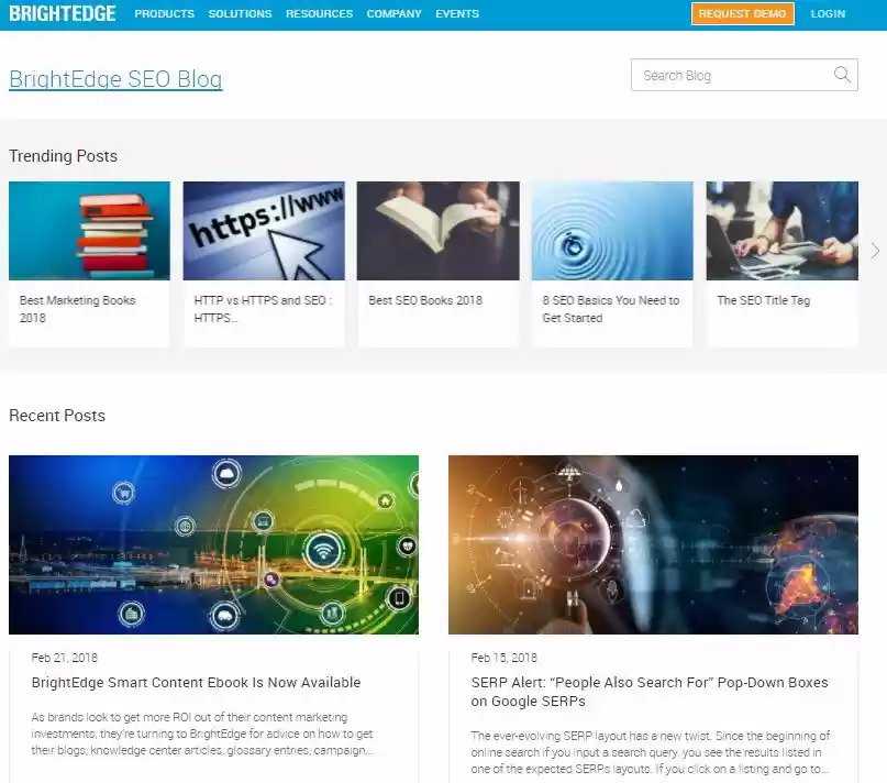 seo expert website