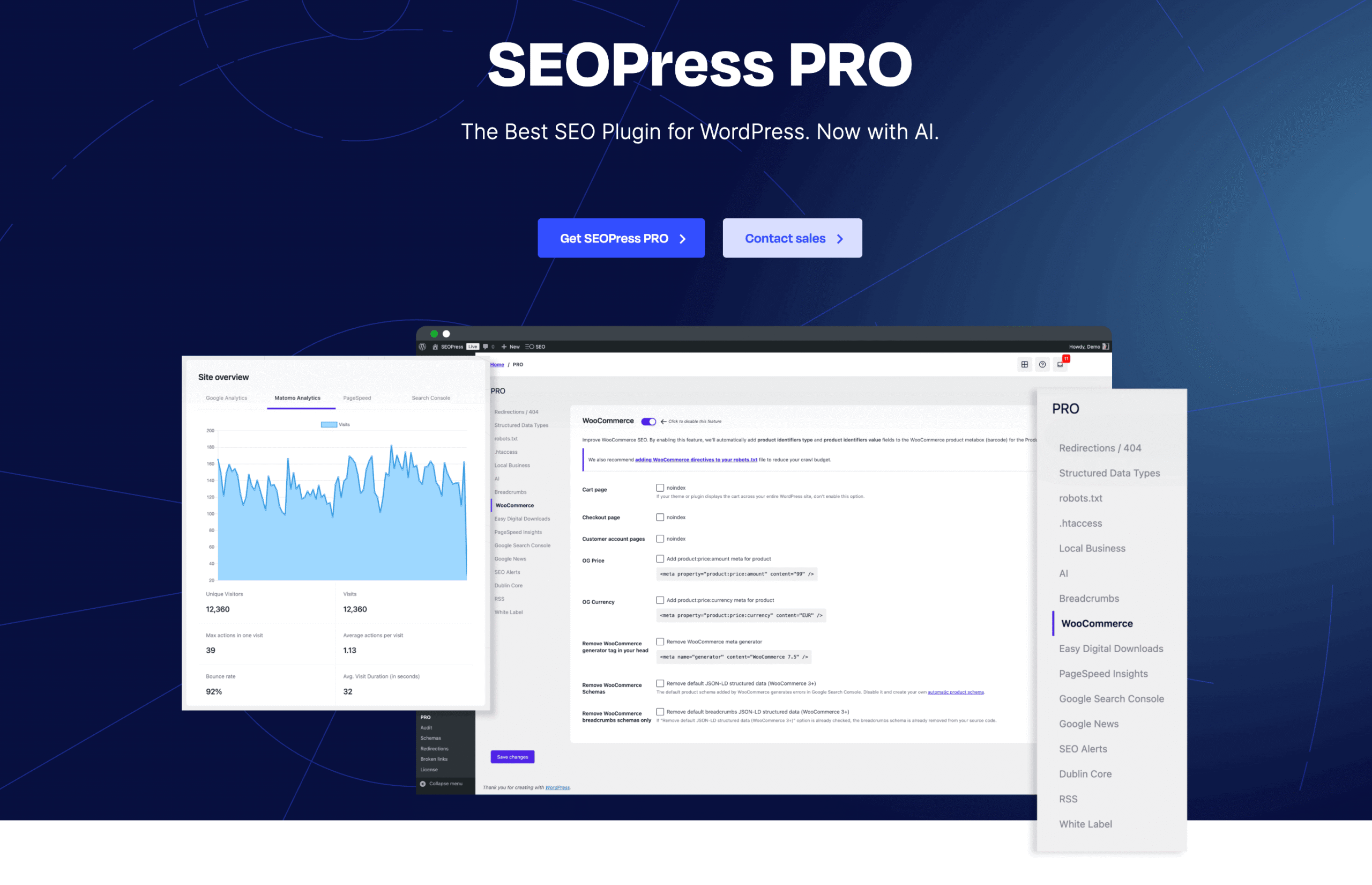 wordpress on page seo